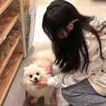 终极对决游戏下载